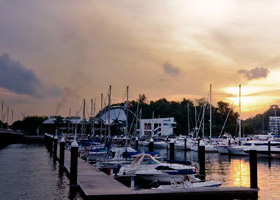 哪个平台可靠的在线接收短信验证码